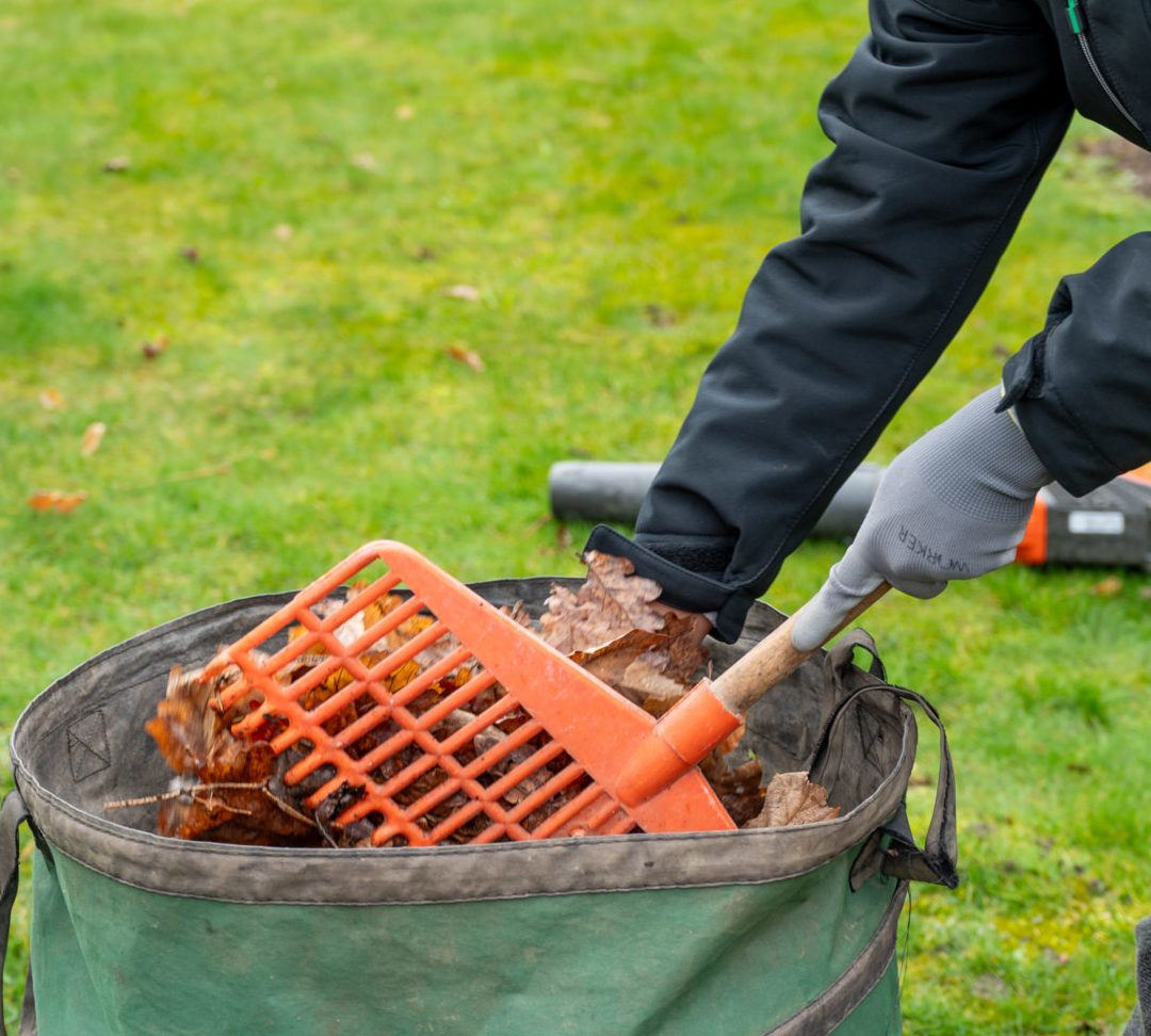 2024.03.12_BLANC_entretiens_extérieurs_916_32