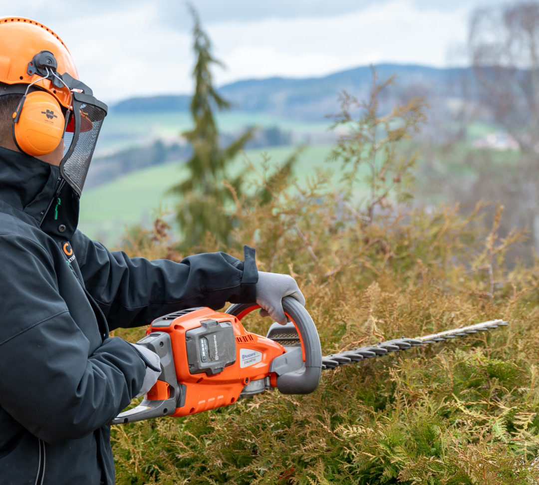 2024.03.12_BLANC_entretiens_extérieurs_916_39